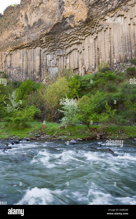 Basalt Columns Garni Gorge Armenia May Stock Photo Alamy