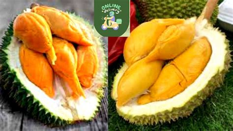 Durian Ioi Musang King Durian Durian D101 Youtube