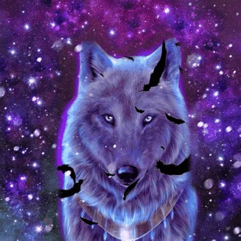 Wolf Wallpaper  Photo Starwolf H72l2syx  Animat
