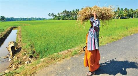 Now click on proceed to payment. Kerala Counters Pro-Corporate Amendment With Co-op Farming ...