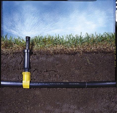 Maybe you would like to learn more about one of these? A Step-By-Step Guide to Installing an Irrigation System.