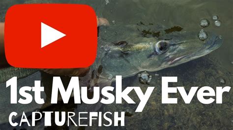 1st Musky Ever Ohio Fishing Lake Milton Youtube