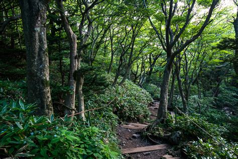 Most beautiful island is a chilling portrait of an undocumented young woman's struggle for survival as she finds redemption from a tortured past in a dangerous game. Exotic Jeju Island - The Most Beautiful Place in South Korea