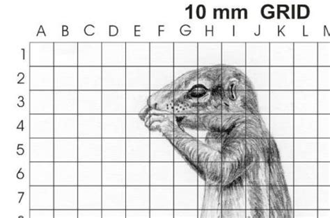 Grid Drawing Tutorial — Online Art Lessons