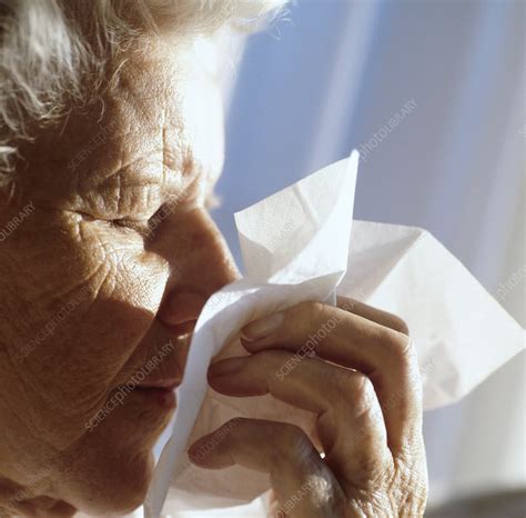 Elderly Woman Sneezing Stock Image M1300966 Science Photo Library