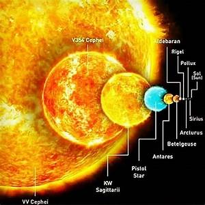 Size Comparison Of Stars Astronomy Facts Space Facts Astronomy