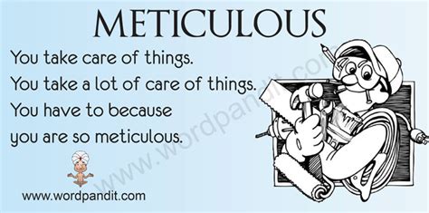 Meaning Of Meticulous