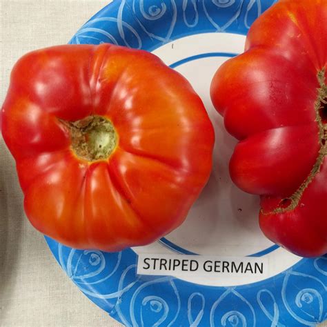 Slicing Tomato Seeds Striped German Organic Sow True Seed