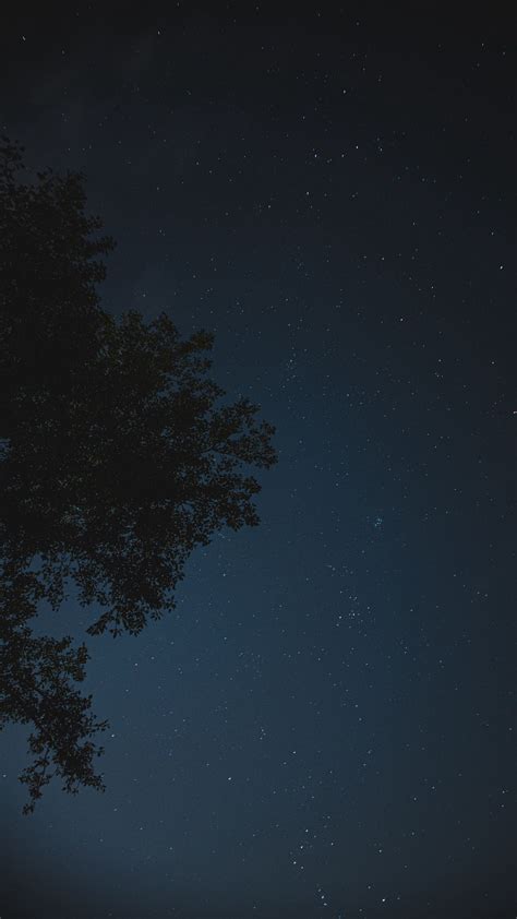 Download Wallpaper 1080x1920 Night Tree Starry Sky Stars Samsung