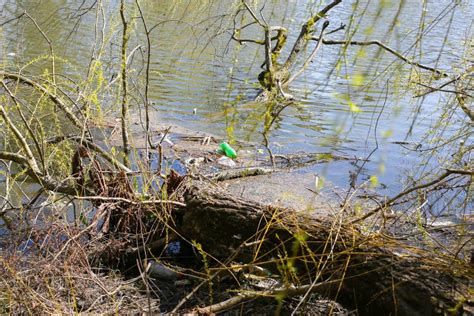 Litter Plastic In The Nature Pollution Of The Environment Ecological