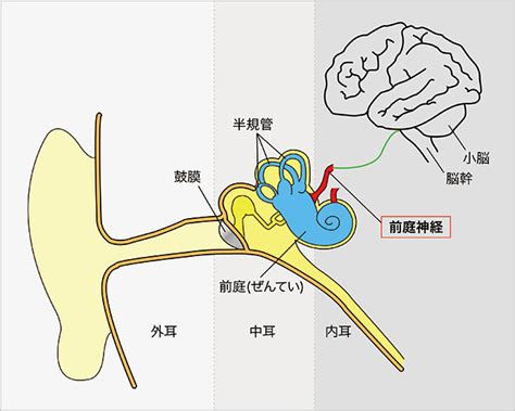 Maybe you would like to learn more about one of these? 前庭神経炎 (ぜんていしんけいえん) | 社会福祉法人 恩賜財団 済生会