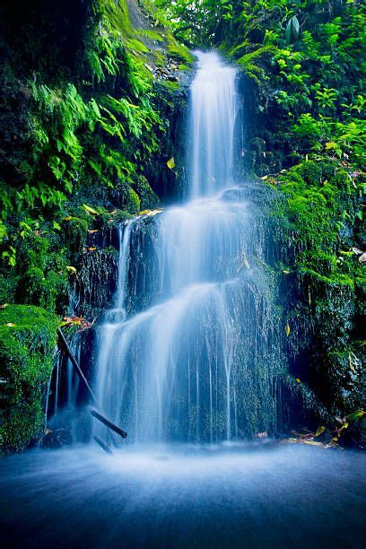 Waterfall Scenary In 2019 Waterfall Waterfall Photo Beautiful