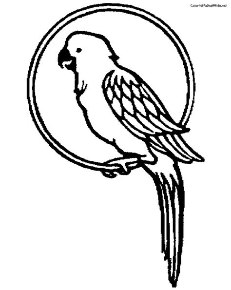 Showing 12 coloring pages related to parrot. Get This Parrot Coloring Pages Free Printable 9466