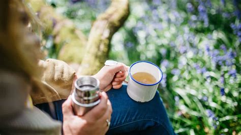 Why Nature Is So Important For Mental Health Pukka Herbs