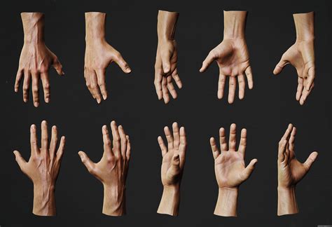 Hand Anatomy Study Andor Kollar Character Artist