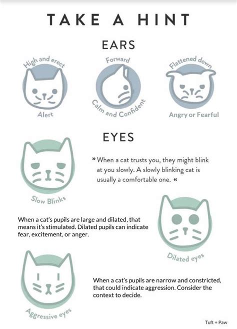 Cat Ear Language Chart