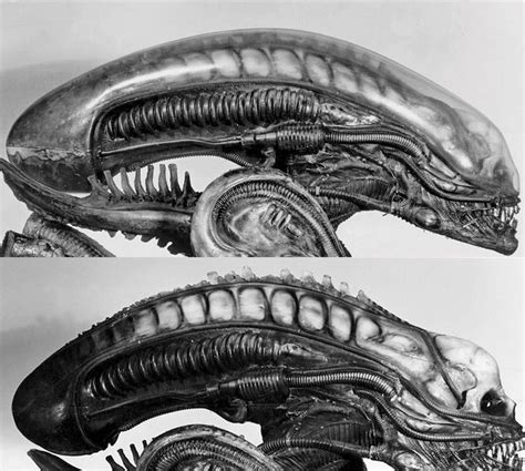 271 Best H R Giger Aliens Images On Pinterest Alien Vs Predator