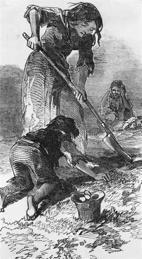The Great Irish Famine An Overview