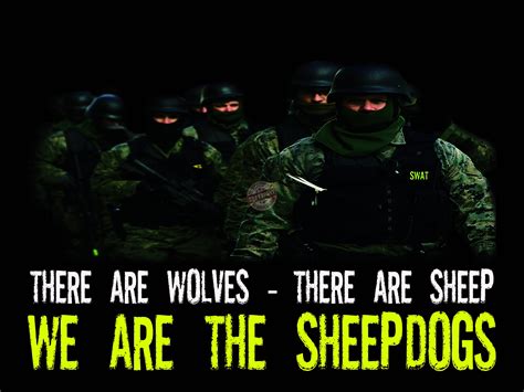 Sheepdog Police Wallpaper Wallpapersafari