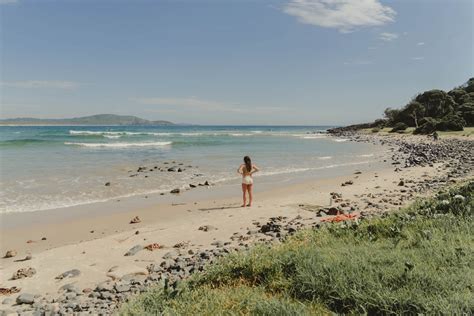 The Wilderness Chronicles - Into The Wild Escapes