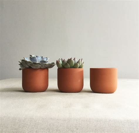 Terracotta Plant Pot — Sue Pryke