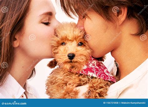 Couple Holds Cute Puppy Dog Kisses And Hugs It Stock Photo Image Of