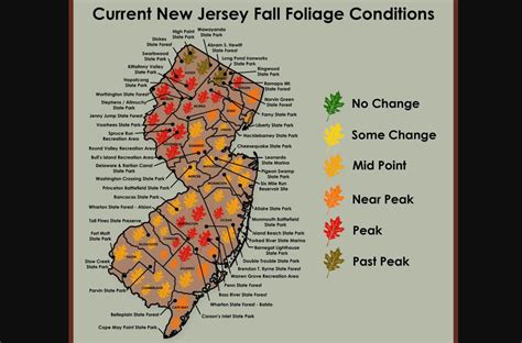 Nj Fall Foliage Update New Map Shows Colorful Leaves In Many Counties Will Strong Winds End