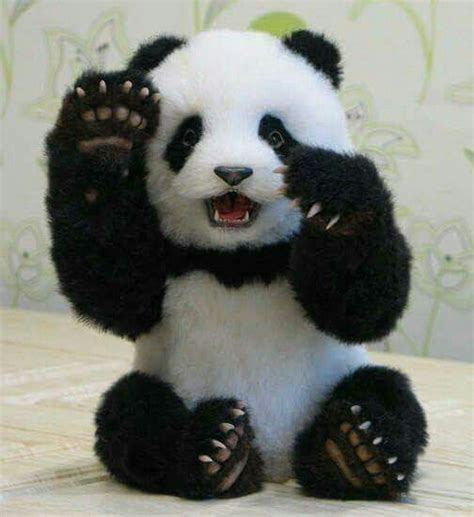 Cuteeeeeee Baby Panda Bears Cute Baby Animals Cute Panda