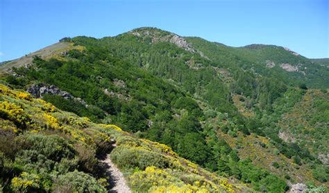 50 Ans Du Parc National Des Cévennes Les Plus Beaux Parcours En Trail