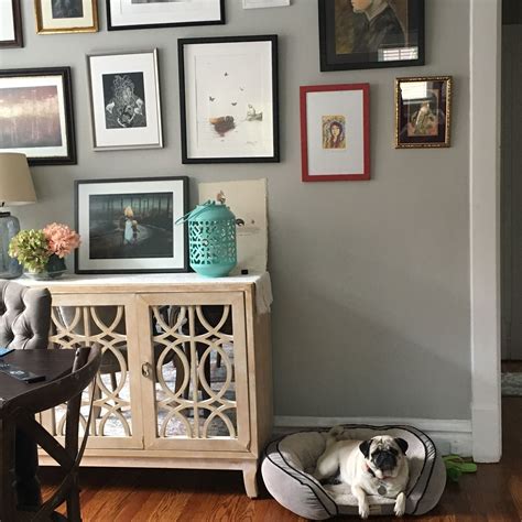 Maybe you would like to learn more about one of these? Pug and wall gallery | Wall gallery, Decor, Home decor