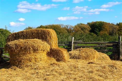 Hay Farm Stock Image Image Of Country Bales Dried 34273371
