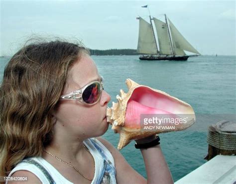 Conch Key Florida Photos And Premium High Res Pictures Getty Images