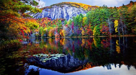 Autumn Forest Reflected In The Lake 4k Ultra Hd Wallpaper Background