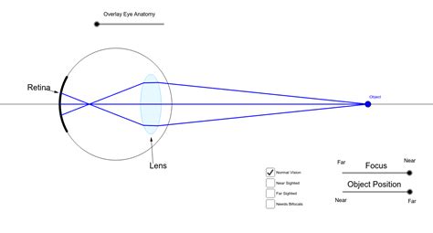 Lens Of Human Eye Anatomy Of Human Eye How The Human Eye Works Feel