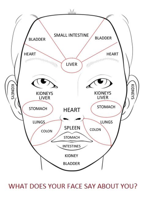Face Reading With Chinese Medicine Face Mapping Face Mapping Acne