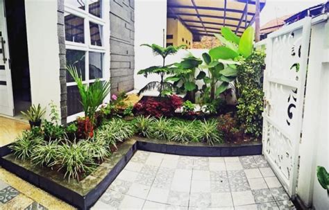 45 Kreasi TAMAN Minimalis Beserta Tanaman Hias yang Cocok Ditanam