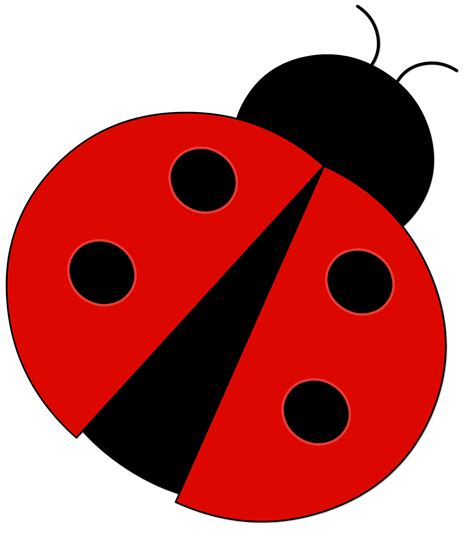 Ladybird Clip Art Ladybug Png Download 11281280 Free Transparent