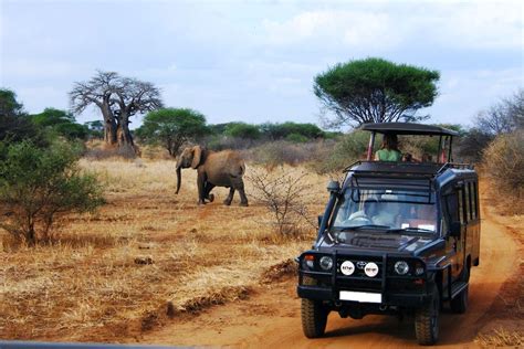 Kenya And Tanzania Camping Safari By G Adventures With 13 Tour Reviews