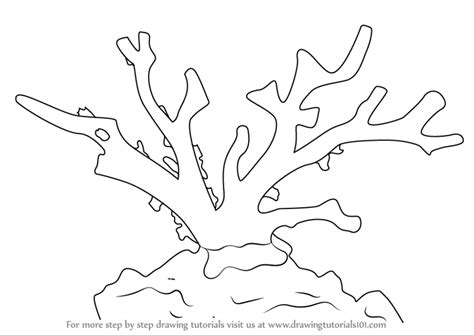 More 100 coloring pages from nature coloring pages category. Simple Coral Reef PNG Transparent Simple Coral Reef.PNG ...