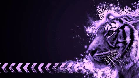 Purple Tiger Wallpaper