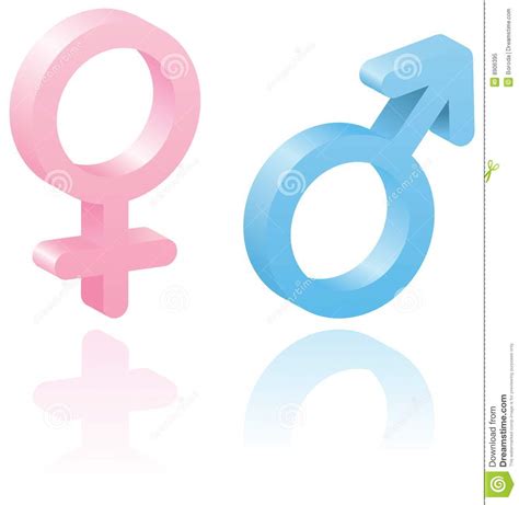 3d Male And Female Symbols Stock Vector Illustration Of Couple