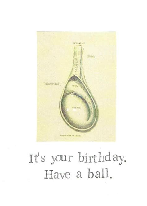 Have A Ball Testicle Birthday Card Funny Anatomy Medical Etsy