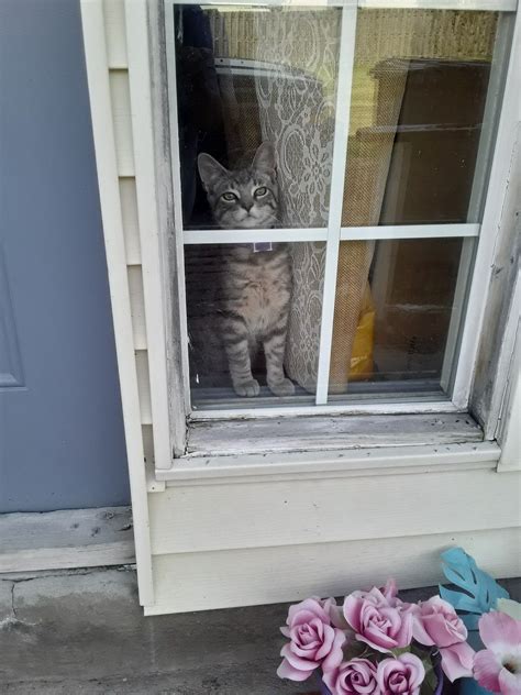 Adorn you bedroom with the cutest kawaii accessories and essentials. Pin by yira coballes on omg!!! Cute!!! (With images ...