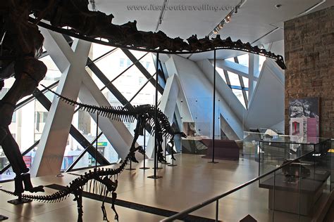 A Visit To The Royal Ontario Museum In Toronto Its About Travelling