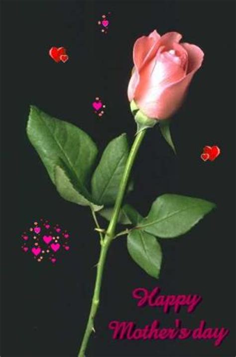Maybe you would like to learn more about one of these? Happy Mother's Day , Pink Rose, Black Background, Some He ...