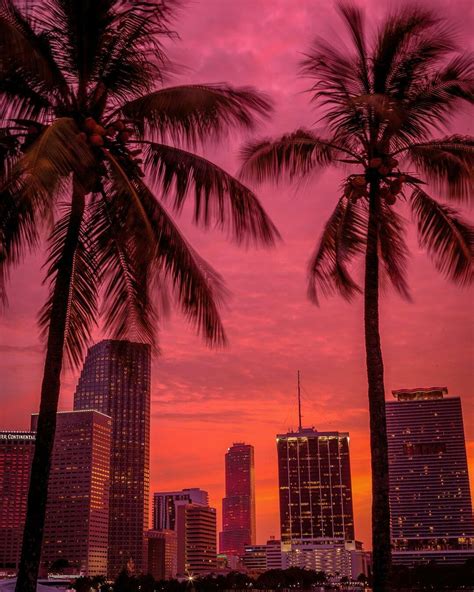 Port Of Miami By Oasis Jae Sky Aesthetic Miami Wallpaper Miami Sunset