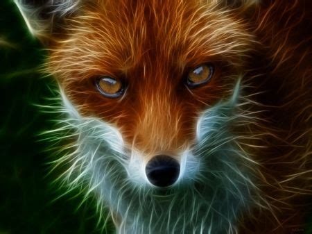 Check spelling or type a new query. 14 best images about Cool neon animals on Pinterest | Wolves, Places and Cats