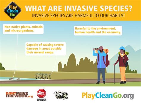 Stop Invasive Pests In Their Tracks With Tips From Aphis And