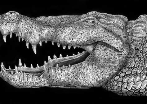 Stunning Animals Portraits Drawn Using Countless Pens Ink Pen