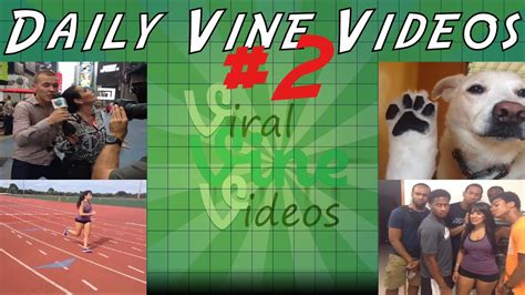 Daily Vines Compilation 2 Best Of Vine Youtube